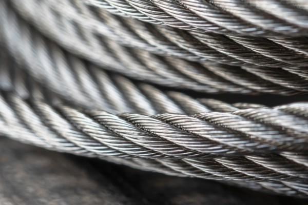 untitled (1920 x 300 px) (1920 x 600 px)