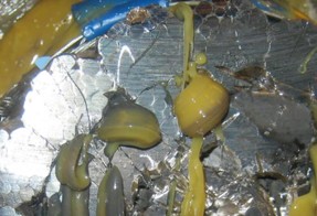 Close-up of lubricant penetrating the internal strands of a wire rope, demonstrating effective deep-core lubrication